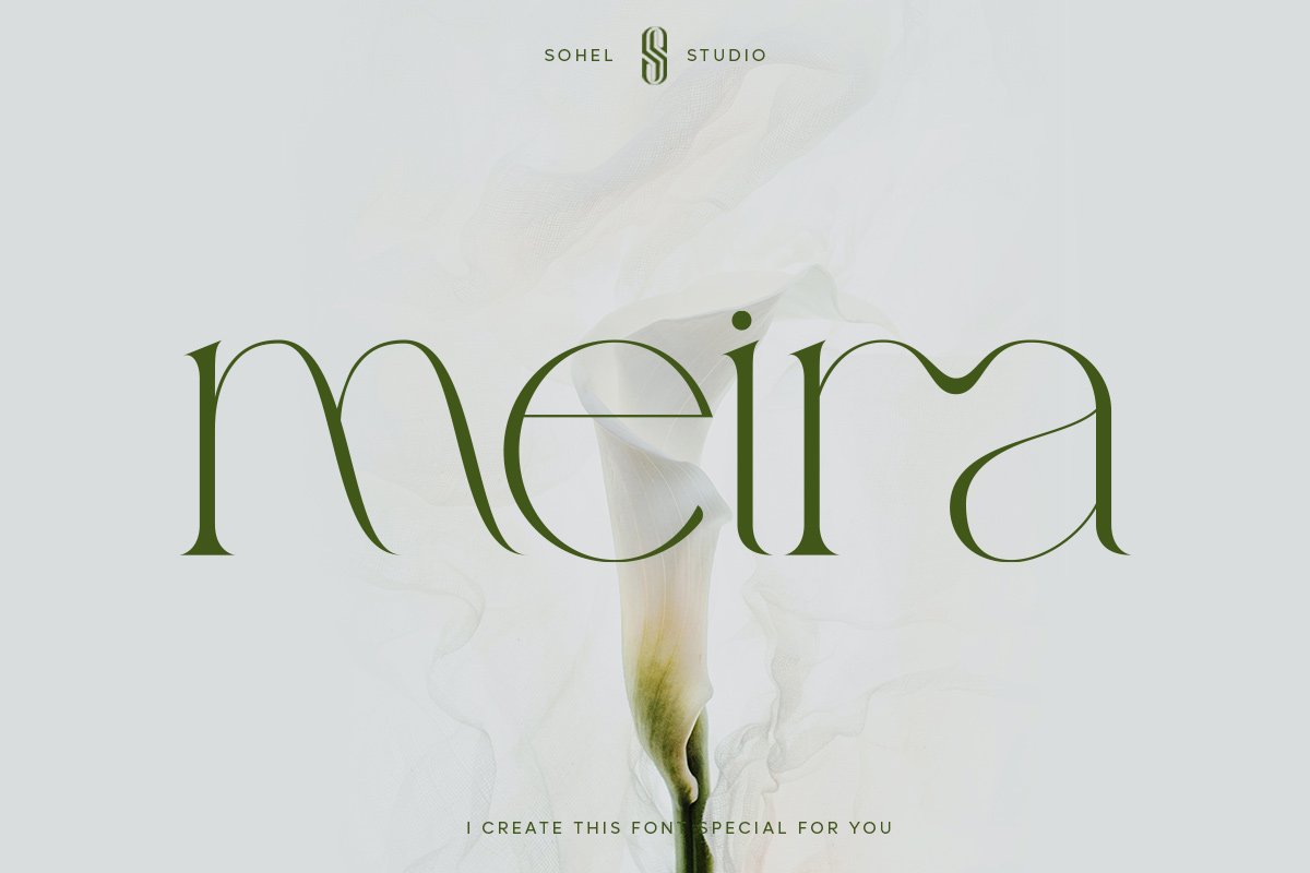 Meira Font Download Free Fonts