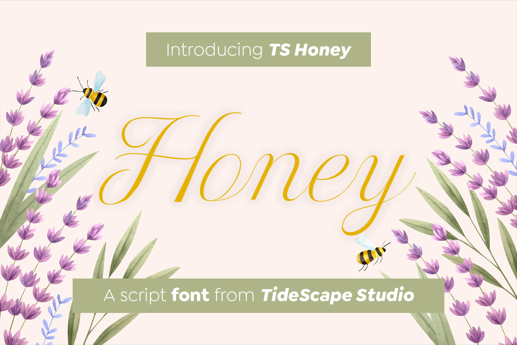 TS Honey Font - Download Free Fonts